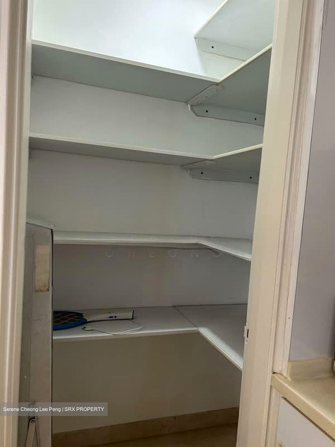 Peppermint Grove (D11), Apartment #581509551